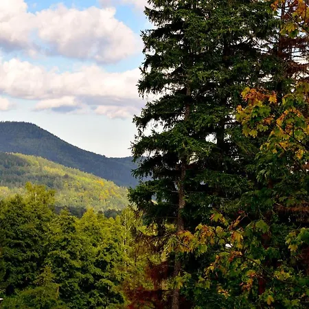 Dwupoziomowy Z Sauna - Apartamentuj Apartman *